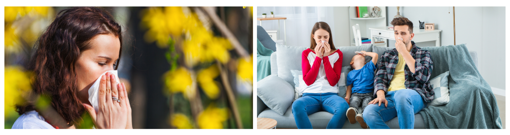     Young brunette woman blowing her nose near flowers in a park, experiencing allergy symptoms.    Family sitting on the couch at home, showing signs of discomfort from allergies.