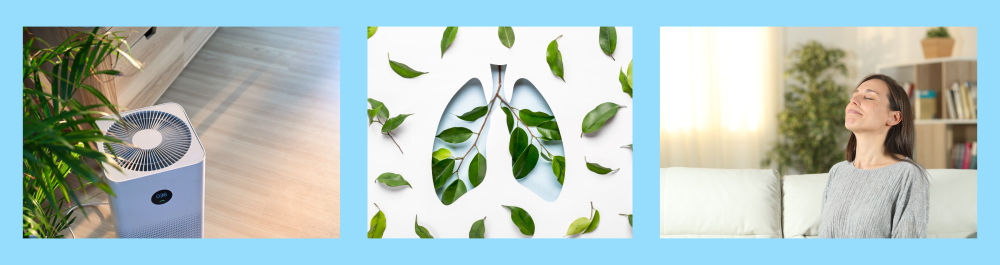  Maintaining indoor air quality is crucial and we believe add ons such as air purifiers and dehumidifiers work well with your cooling system to further increase your comfort and support a healthy respiratory system.