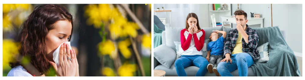 Young brunette woman blowing her nose near flowers in a park, experiencing allergy symptoms. Family sitting on the couch at home, showing signs of discomfort from allergies.